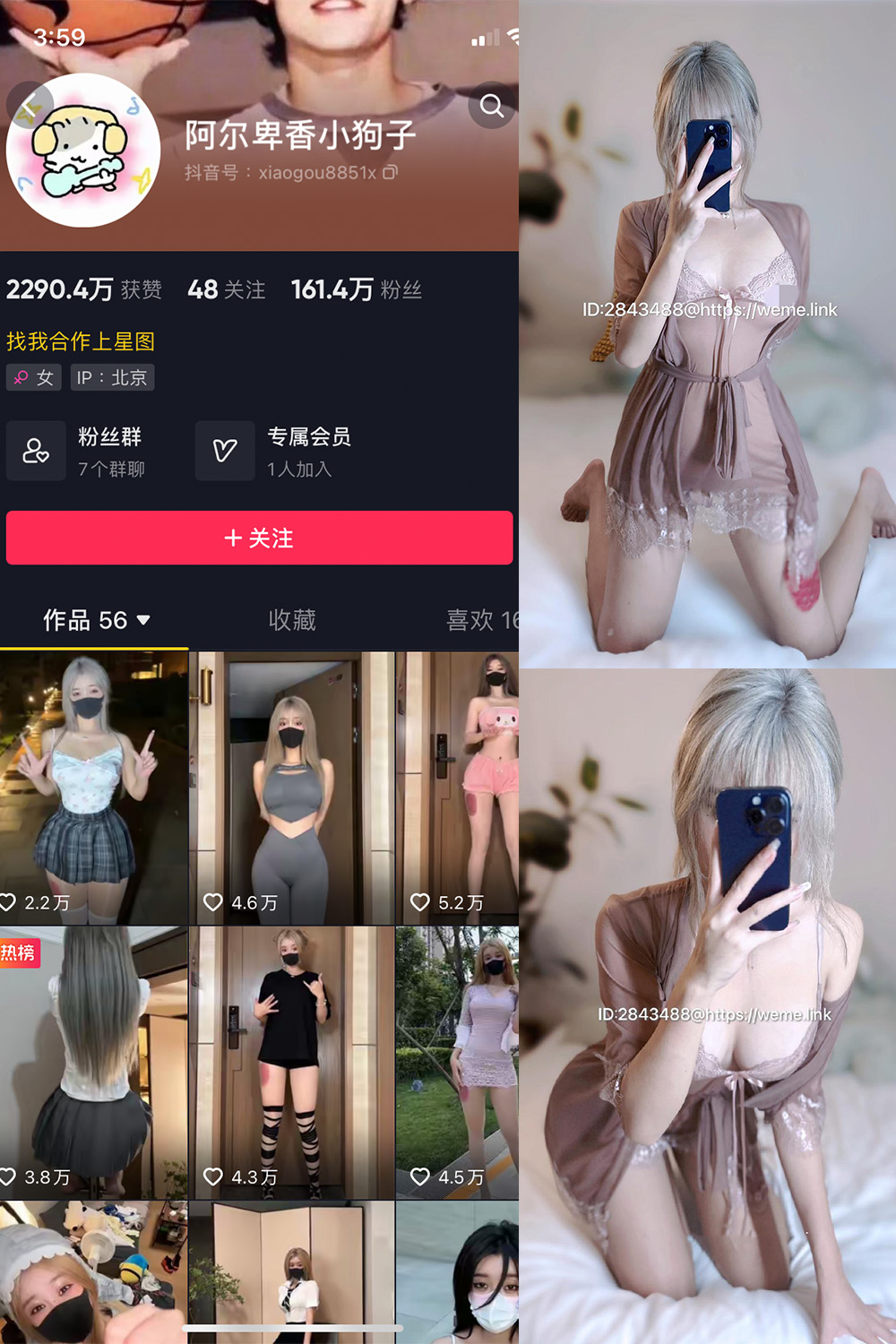 抖音 阿尔卑香小狗子 微密圈  NO.045期 【39P】最新至：2026.6.9-樱桃熟了