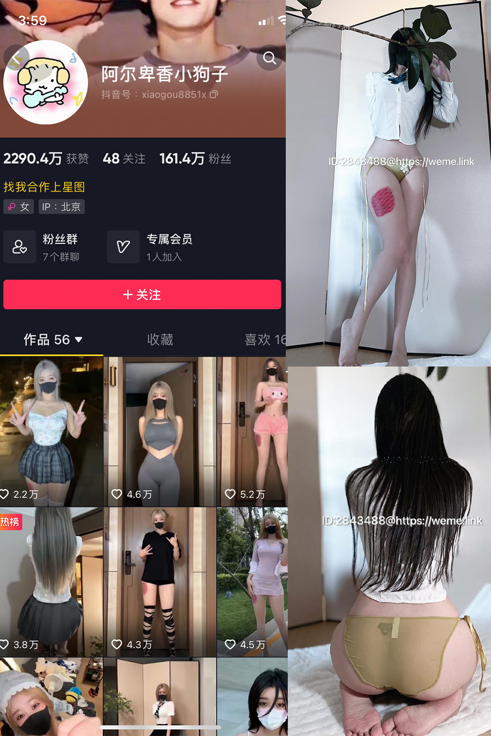 抖音 阿尔卑香小狗子 微密圈  NO.047期 【39P】最新至：2024.6.10-樱桃熟了