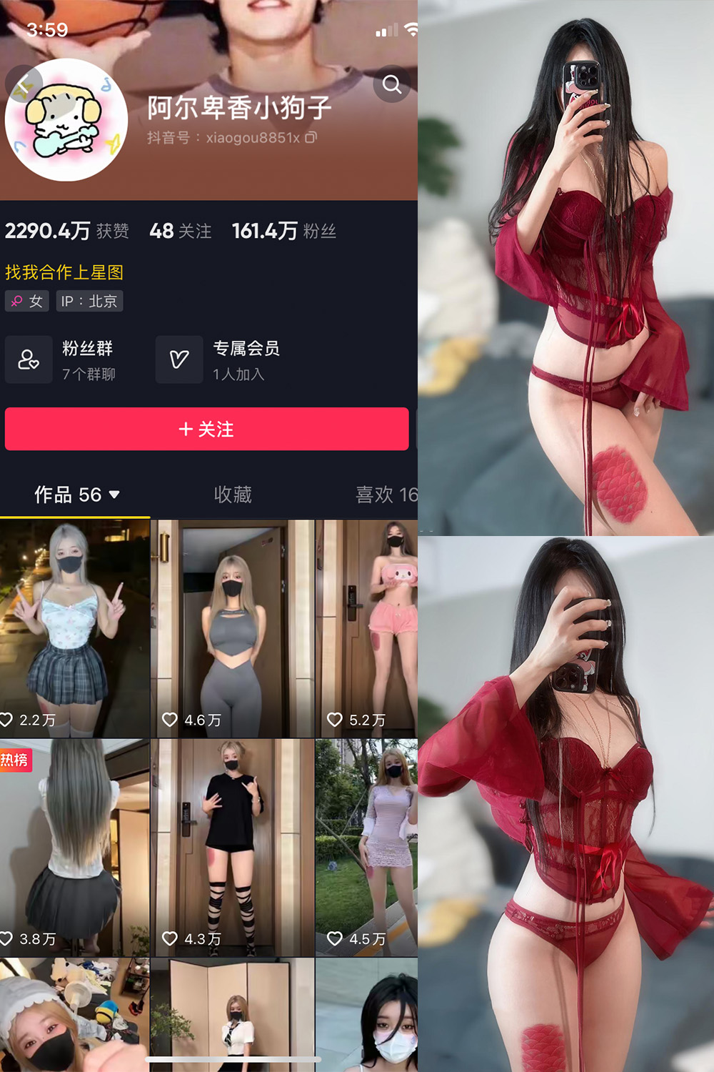 抖音 阿尔卑香小狗子 微密圈  NO.056期 【10P2V】最新至：2024.8.25-樱桃熟了